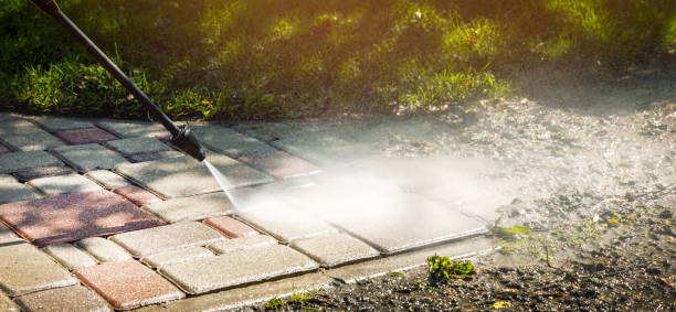 Best Soft Washing for Delicate Surfaces in French Lick, IN